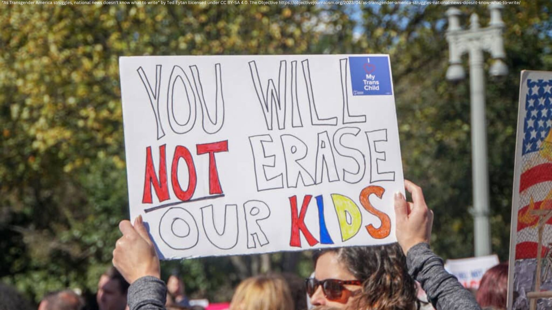 TNR in The Guardian:”Rightwing group planned $6m for anti-trans messaging in 2022″